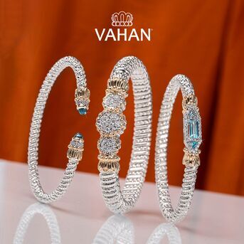 Happy Thanksgiving from the VAHAN Family to yours! 

TheMoreVAHANTheMerrier TheGiftOfVAHAN